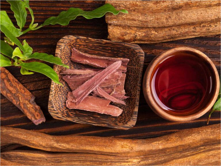 Long Term Benefits Of Ayahuasca